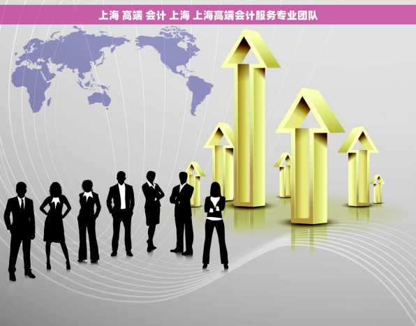 上海 高端 会计 上海 上海高端会计服务专业团队