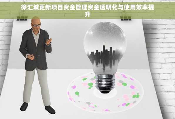 徐汇城更新项目资金管理资金透明化与使用效率提升