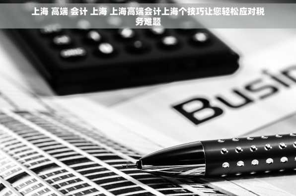 上海 高端 会计 上海 上海高端会计上海个技巧让您轻松应对税务难题