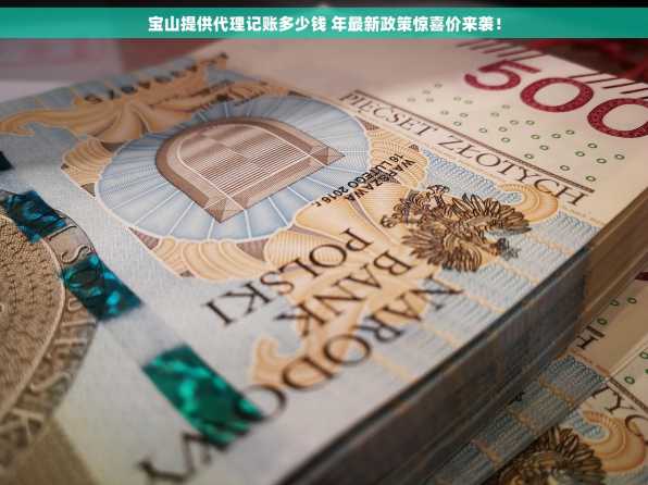 宝山提供代理记账多少钱 年最新政策惊喜价来袭！