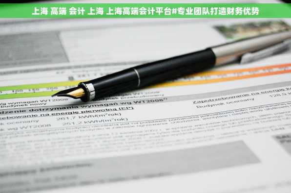 上海 高端 会计 上海 上海高端会计平台#专业团队打造财务优势