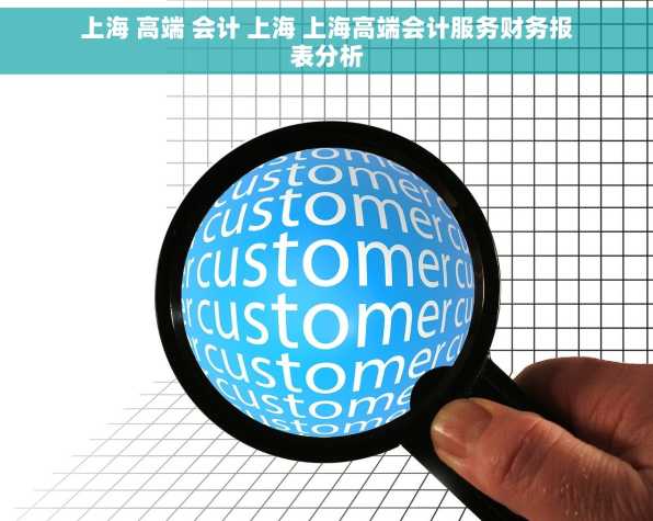 上海 高端 会计 上海 上海高端会计服务财务报表分析