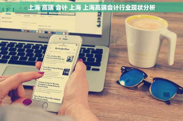 上海 高端 会计 上海 上海高端会计行业现状分析