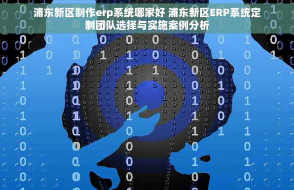浦东新区制作erp系统哪家好 浦东新区ERP系统定制团队选择与实施案例分析