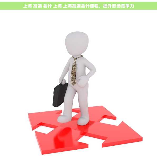 上海 高端 会计 上海 上海高端会计课程，提升职场竞争力