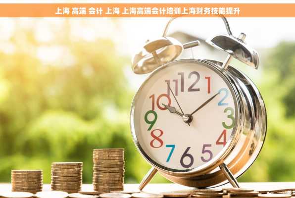 上海 高端 会计 上海 上海高端会计培训上海财务技能提升