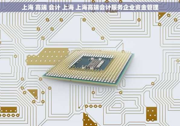 上海 高端 会计 上海 上海高端会计服务企业资金管理