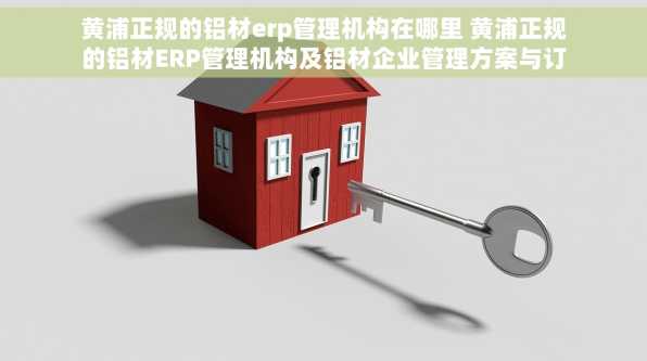黄浦正规的铝材erp管理机构在哪里 黄浦正规的铝材ERP管理机构及铝材企业管理方案与订单跟踪系统