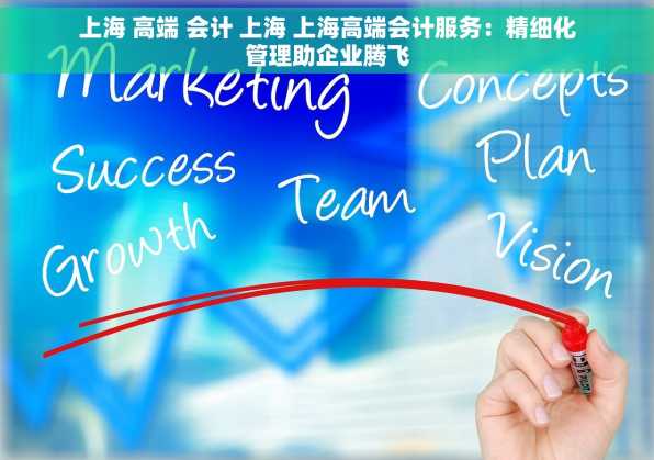 上海 高端 会计 上海 上海高端会计服务：精细化管理助企业腾飞