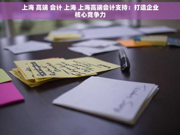 上海 高端 会计 上海 上海高端会计支持：打造企业核心竞争力