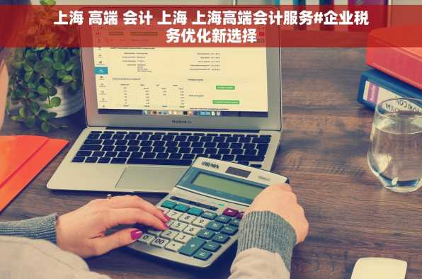 上海 高端 会计 上海 上海高端会计服务#企业税务优化新选择