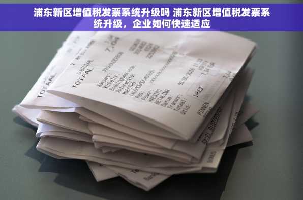 浦东新区增值税发票系统升级吗 浦东新区增值税发票系统升级，企业如何快速适应
