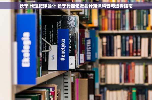 长宁 代理记账会计 长宁代理记账会计知识科普与选择指南