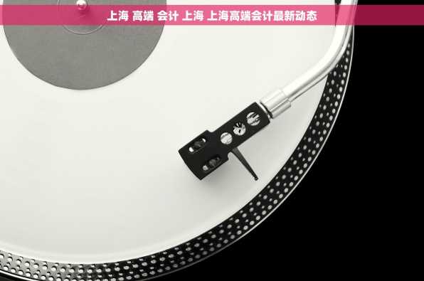 上海 高端 会计 上海 上海高端会计最新动态