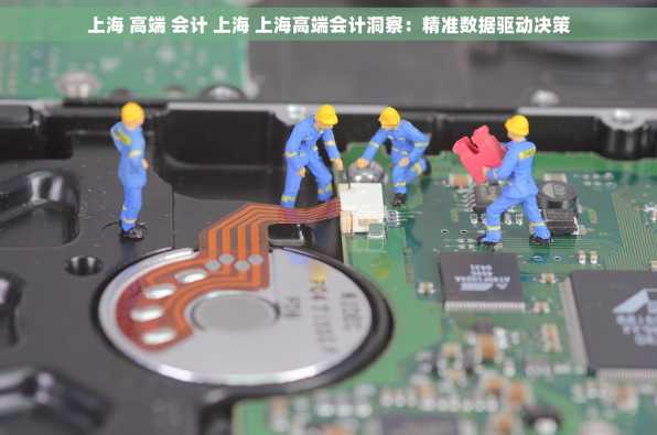 上海 高端 会计 上海 上海高端会计洞察：精准数据驱动决策