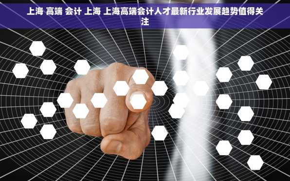 上海 高端 会计 上海 上海高端会计人才最新行业发展趋势值得关注