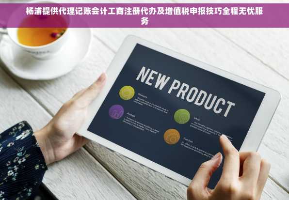 杨浦提供代理记账会计工商注册代办及增值税申报技巧全程无忧服务