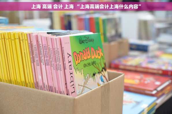 上海 高端 会计 上海 “上海高端会计上海什么内容”