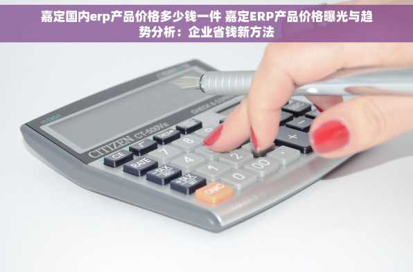嘉定国内erp产品价格多少钱一件 嘉定ERP产品价格曝光与趋势分析：企业省钱新方法