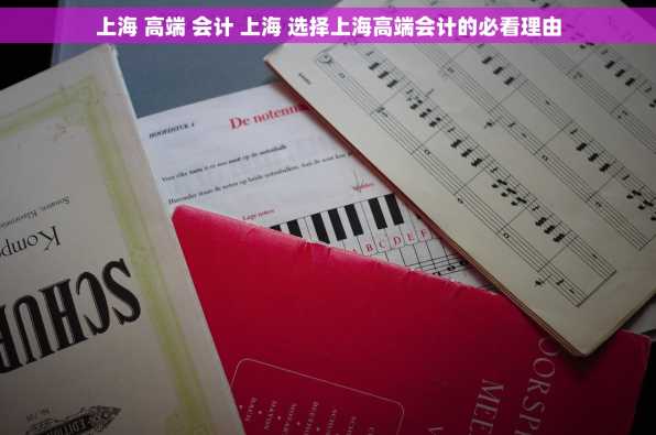 上海 高端 会计 上海 选择上海高端会计的必看理由