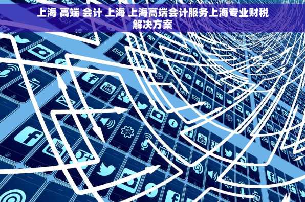 上海 高端 会计 上海 上海高端会计服务上海专业财税解决方案