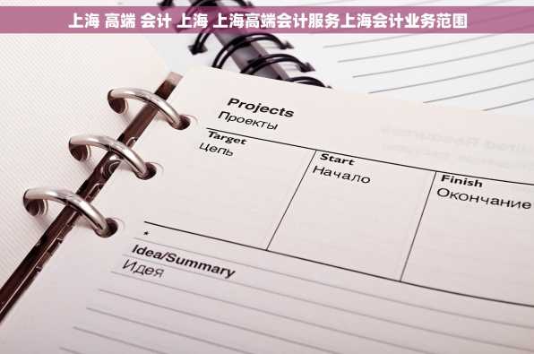 上海 高端 会计 上海 上海高端会计服务上海会计业务范围