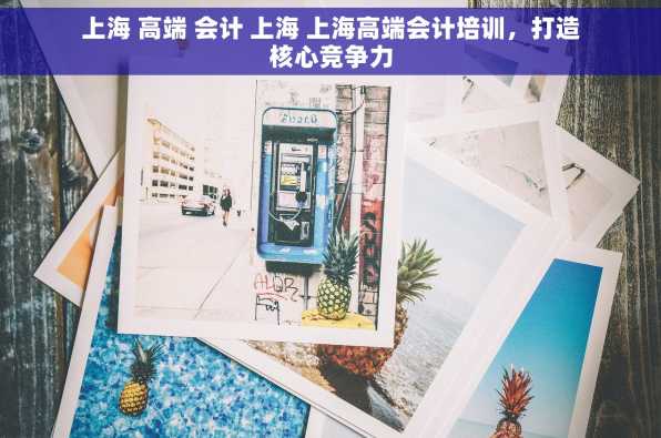 上海 高端 会计 上海 上海高端会计培训，打造核心竞争力