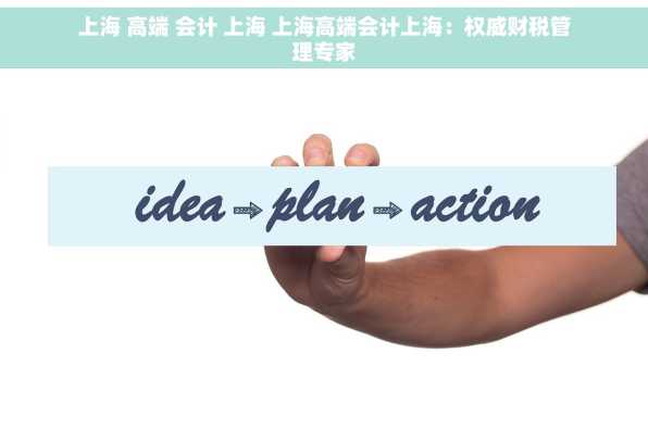 上海 高端 会计 上海 上海高端会计上海：权威财税管理专家