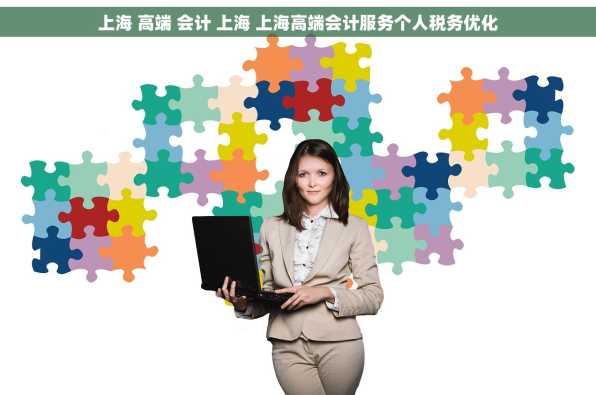 上海 高端 会计 上海 上海高端会计服务个人税务优化