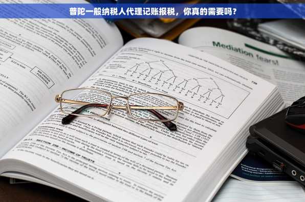普陀一般纳税人代理记账报税，你真的需要吗？