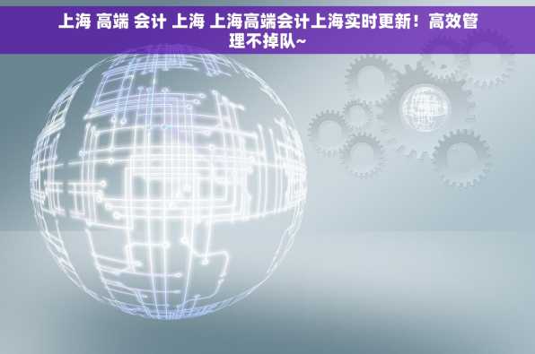 上海 高端 会计 上海 上海高端会计上海实时更新！高效管理不掉队~