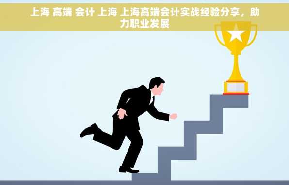 上海 高端 会计 上海 上海高端会计实战经验分享，助力职业发展