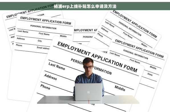 杨浦erp上线补贴怎么申请及方法