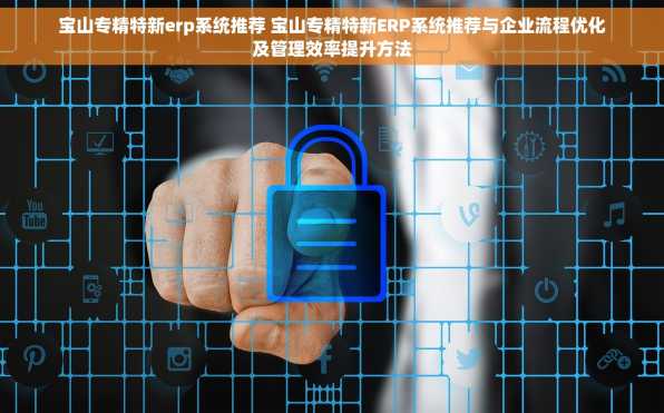 宝山专精特新erp系统推荐 宝山专精特新ERP系统推荐与企业流程优化及管理效率提升方法