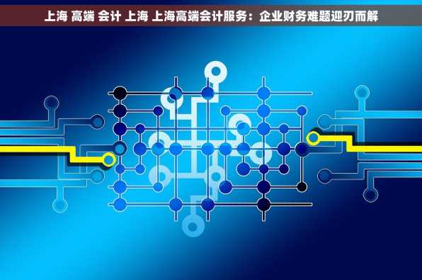 上海 高端 会计 上海 上海高端会计服务：企业财务难题迎刃而解