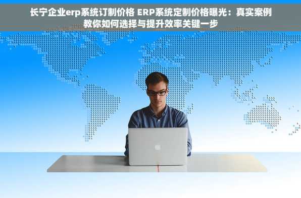 长宁企业erp系统订制价格 ERP系统定制价格曝光：真实案例教你如何选择与提升效率关键一步