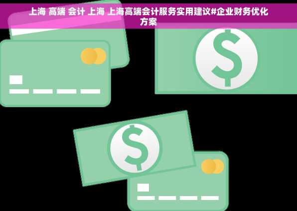 上海 高端 会计 上海 上海高端会计服务实用建议#企业财务优化方案