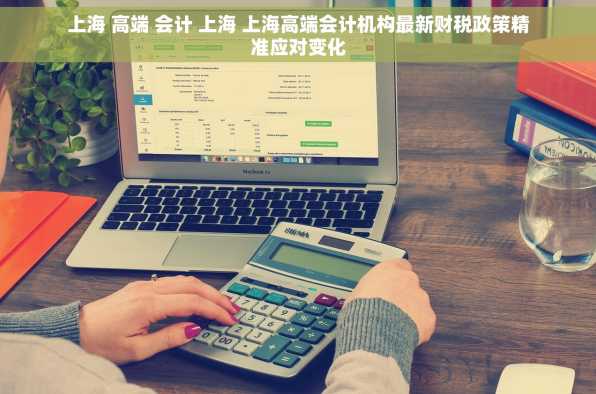 上海 高端 会计 上海 上海高端会计机构最新财税政策精准应对变化