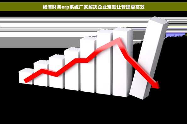 杨浦财务erp系统厂家解决企业难题让管理更高效
