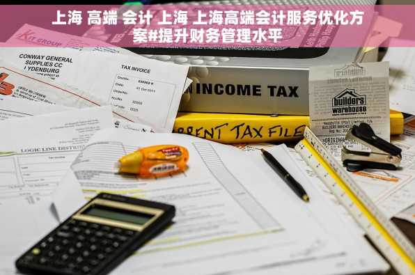 上海 高端 会计 上海 上海高端会计服务优化方案#提升财务管理水平