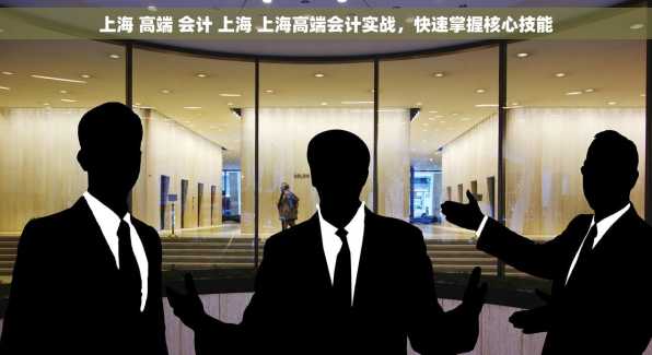上海 高端 会计 上海 上海高端会计实战，快速掌握核心技能