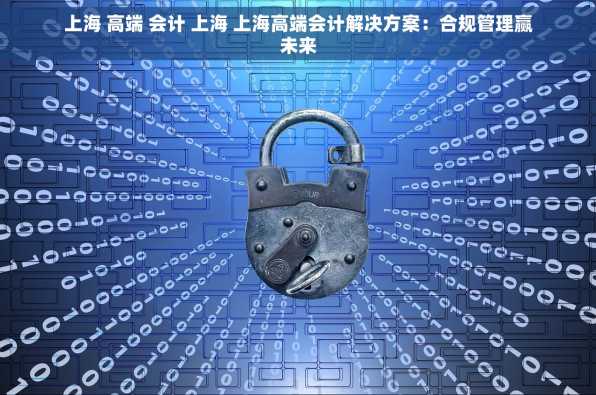 上海 高端 会计 上海 上海高端会计解决方案：合规管理赢未来