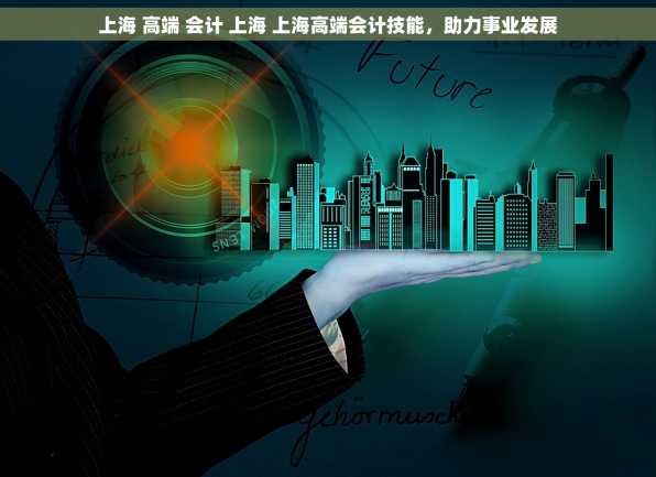 上海 高端 会计 上海 上海高端会计技能，助力事业发展