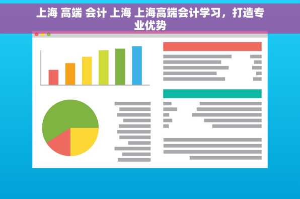 上海 高端 会计 上海 上海高端会计学习，打造专业优势