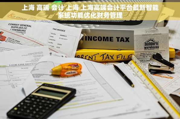 上海 高端 会计 上海 上海高端会计平台最新智能系统功能优化财务管理