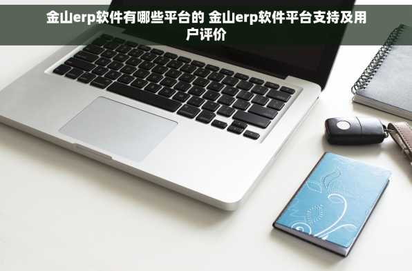 金山erp软件有哪些平台的 金山erp软件平台支持及用户评价