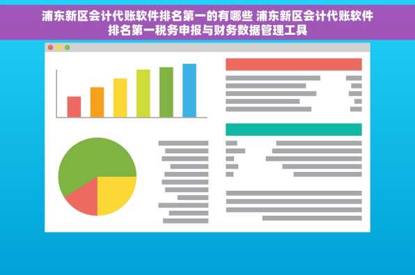 浦东新区会计代账软件排名第一的有哪些 浦东新区会计代账软件排名第一税务申报与财务数据管理工具