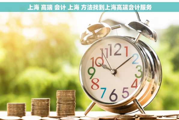 上海 高端 会计 上海 方法找到上海高端会计服务