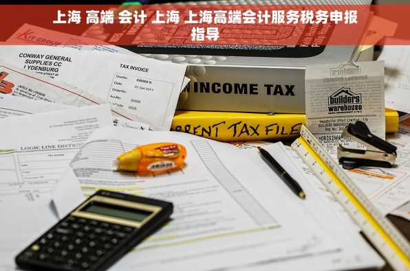 上海 高端 会计 上海 上海高端会计服务税务申报指导