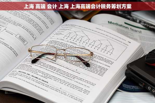 上海 高端 会计 上海 上海高端会计税务筹划方案